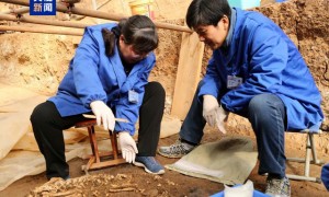 考古学家确认汉文帝霸陵出现“进口宝马”